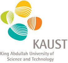 Postdoctoral Fellow